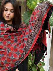 Rust Ajrakh Handblock Printed Silk-Woollen Shawl