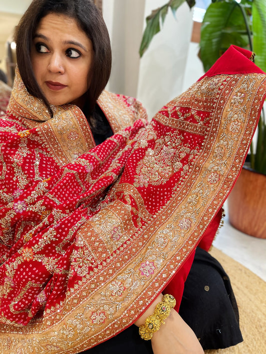 Red Handwoven NeemZari Bareek Bandhani with Meenakari and Dabka Handwork in Pure Georgette