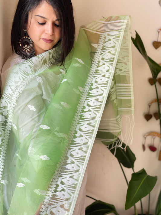 Green Handwoven Jamdani Dupatta in Pure Muslin