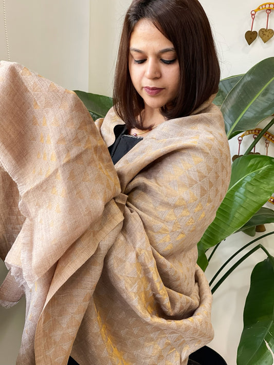 Lite Brown Pashmina Shawl with Zari