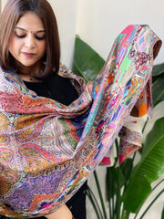 Woven Pashmina Kalamkari Stole with Embroidery