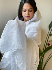 White Jaal Cut Work Dupatta in Kota Cotton