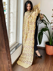 Beige Handmade Desginer Phulkari Dupatta in Pure Chinon