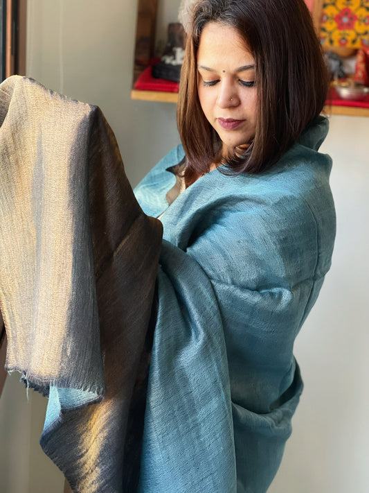 Lite Firozi Pashmina Shawl with Zari