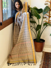 Greyish Beige Handwoven Ikat Dupatta Pure Silk-Cotton