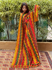 Handmade Phulkari Dupatta in Cotton