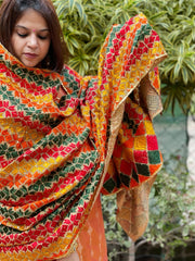 Handmade Phulkari Dupatta in Cotton