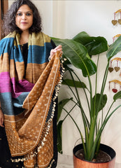 Handwoven Bhujodi Shawl in Pure Tussar and Wool