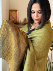 Leaf Green Pashmina Shawl with Zari