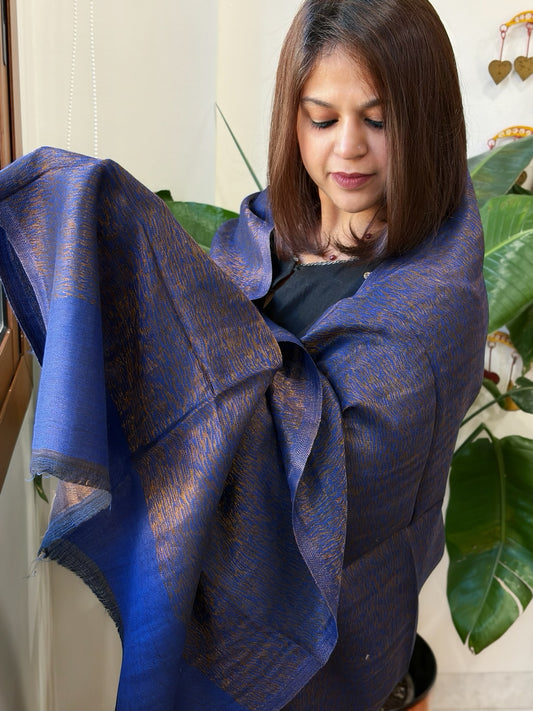 Royal Blue Pashmina Stole with Zari