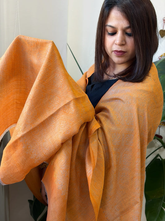 Orange Pashmina Shawl with Zari