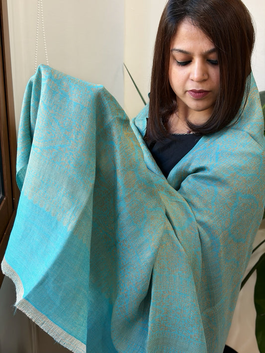 Sky Blue Pashmina Shawl with Zari