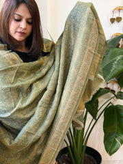Olive Green Pashmina Shawl with Zari