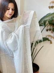 Handwoven Chanderi Dupatta with Self Design