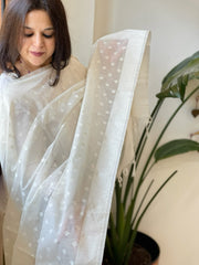 Handwoven Chanderi Dupatta with Self Design