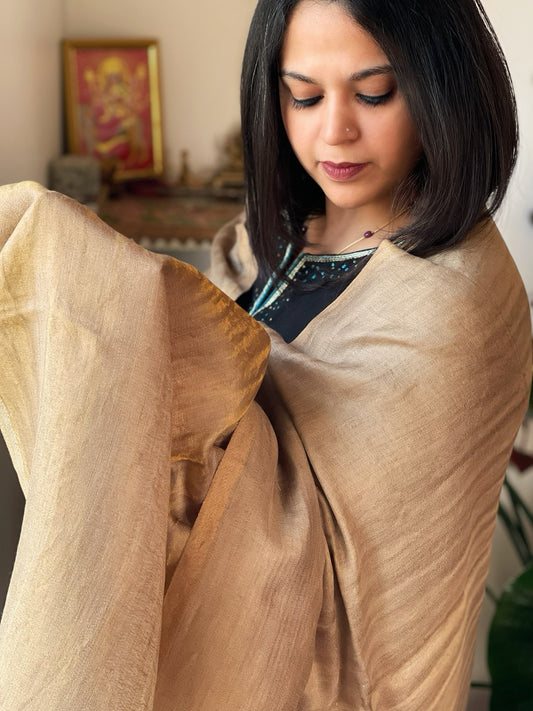 Golden Brown Pashmina Shawl with Zari