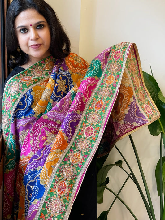 Multicolor Chinon Dupatta with Gold Thread & Aari Embroidery