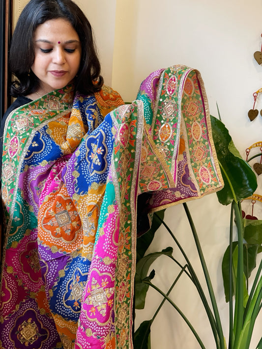 Multicolor Chinon Dupatta with Gold Thread & Aari Embroidery