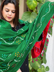 Orange Handwoven Woollen Shawl with Handmade Bandhani and Kantha in Pure Silk
