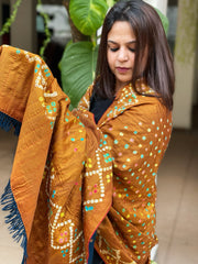 Mustard Handwoven Woollen Shawl with Handmade Bandhani and Kantha in Pure Silk