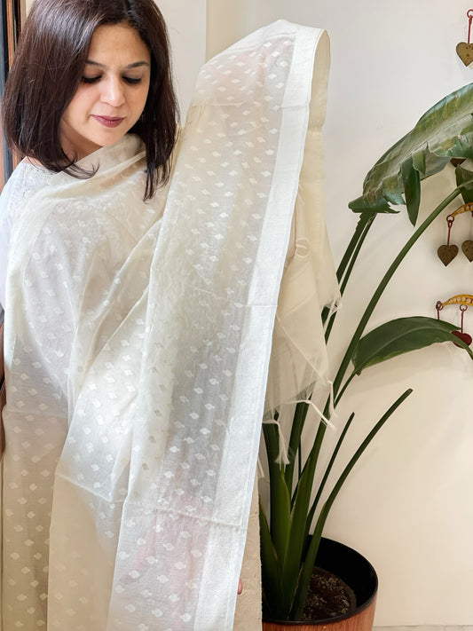 Cream Handwoven Chanderi Dupatta with Self Weaving and Cut Work Pallu