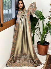 Woven Pure Silk Kaani Dupatta with Zari