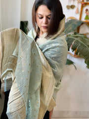 Aqua Woven Banarasi Dupatta in Tissue