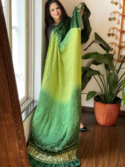 Green Bandhani Dupatta with Zari Pallu in Modal Silk