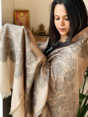 Lite Brown, Grey Woven Pashmina Stole with Floral Kaani Pallu