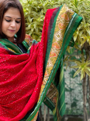 Red, Green Handwoven Patola with Rai Bandhej Dupatta in Pure Silk