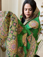 Green Chinon Dupatta with Aari Embroidery