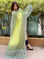 Green, Olive Green Rai Bandhej Dupatta with Lucknowi Handwork in Pure Georgette
