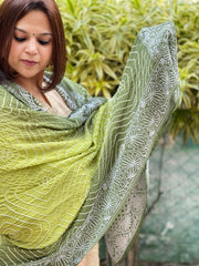 Green, Olive Green Rai Bandhej Dupatta with Lucknowi Handwork in Pure Georgette