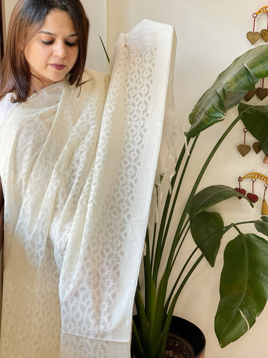 Handwoven Chanderi Dupatta with Self Design