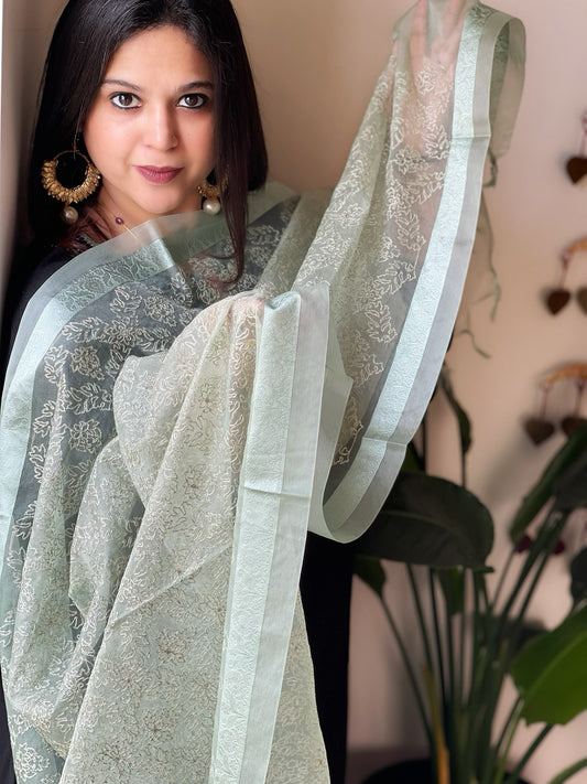 Organza Dupatta with Gold Thread Jaal Embroidery in Aqua Green Color