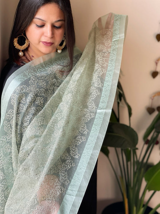 Organza Dupatta with Gold Thread Jaal Embroidery in Aqua Green Color