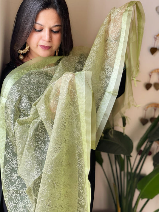 Organza Dupatta with Gold Thread Jaal Embroidery in Pista Green Color