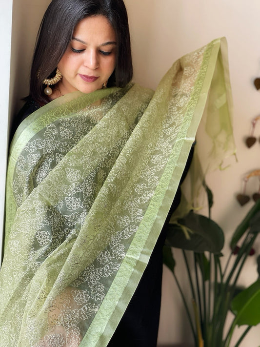 Organza Dupatta with Gold Thread Jaal Embroidery in Pista Green Color