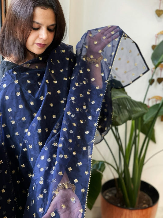 Blue Organza Dupatta with Pitta Work Butas and Gota Lace Border - Masakalee