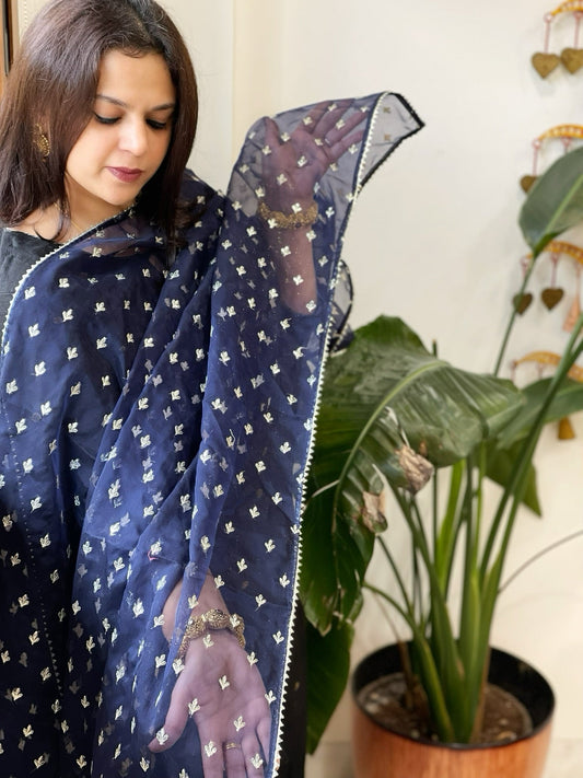 Blue Organza Dupatta with Pitta Work Butas and Gota Lace Border - Masakalee