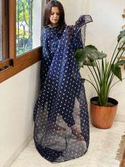 Blue Organza Dupatta with Pitta Work Butas and Gota Lace Border - Masakalee