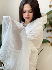 Cream Chanderi Dupatta with Thread Embroidery - Masakalee
