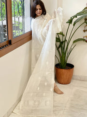 Cream Chanderi Dupatta with Thread Embroidery - Masakalee