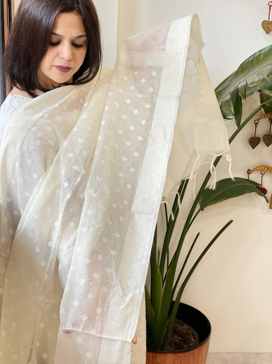 Cream Handwoven Chanderi Dupatta with Self Weaving and Cut Work Pallu - Masakalee