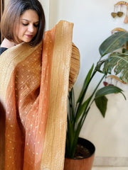 Dull Orange Woven Banarasi Dupatta in Tissue - Masakalee