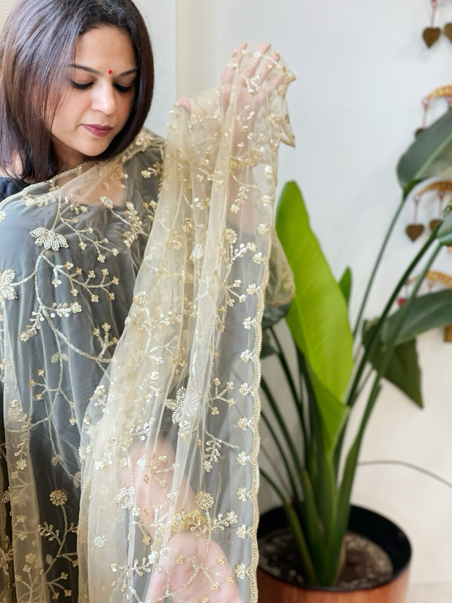 Gold Net Dupatta with Sequin and Cut Daana Embroidery - Masakalee
