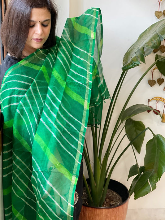 Green Kota Silk Leheriya Dupatta - Masakalee