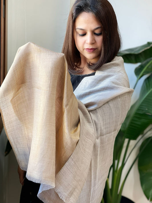 Greyish Brown Pashmina Stole with Zari - Masakalee