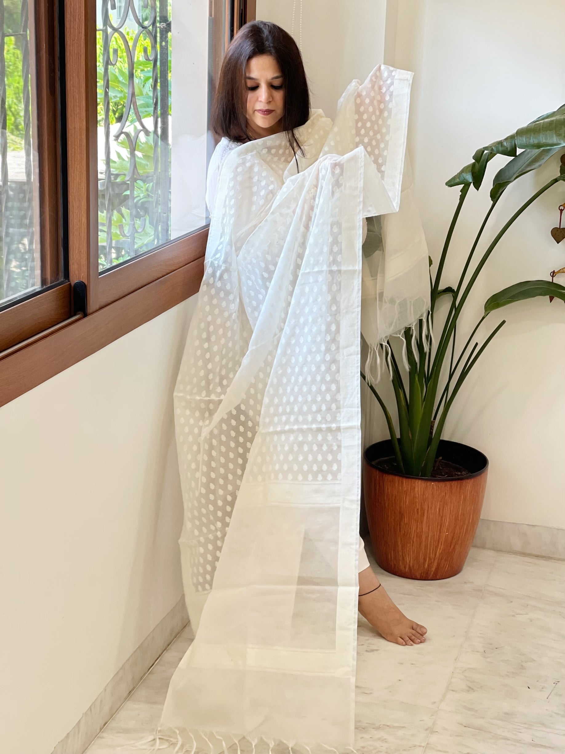 Handwoven Chanderi Dupatta with Self Design - Masakalee
