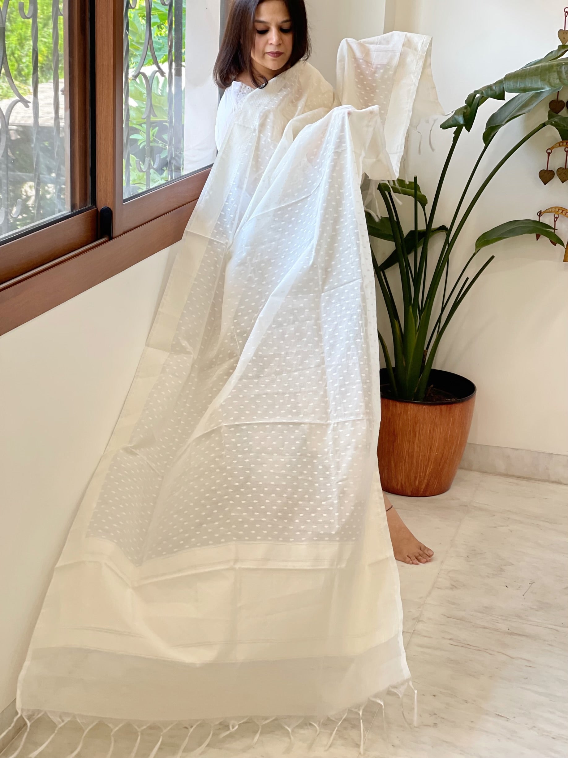 Handwoven Chanderi Dupatta with Self Design - Masakalee